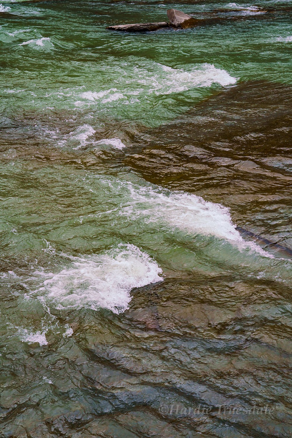 WNY#89 River Textures, Letchworth State Park