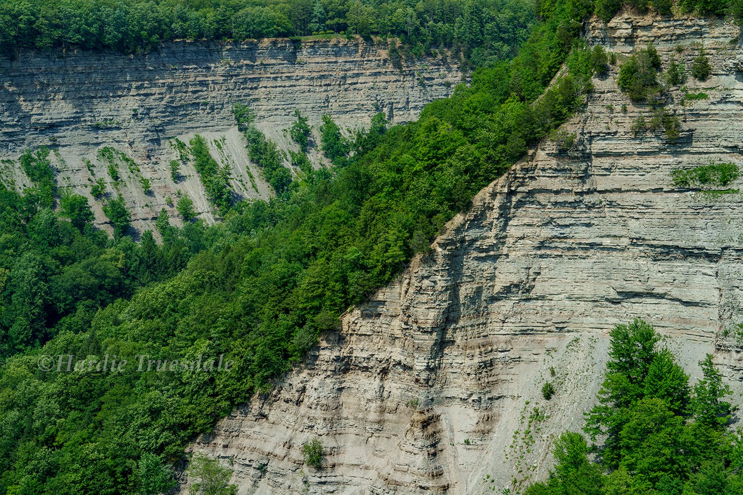 WNY#88 Canyon Walls, Great Bend, Letchworth State Park