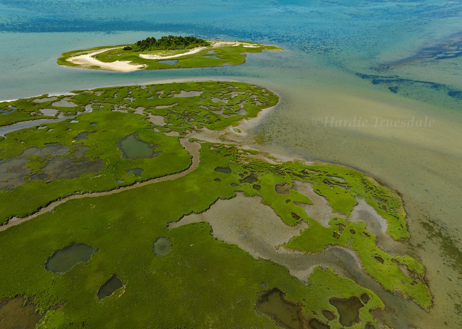 CCar#29 Little Sipson Island and Meadow