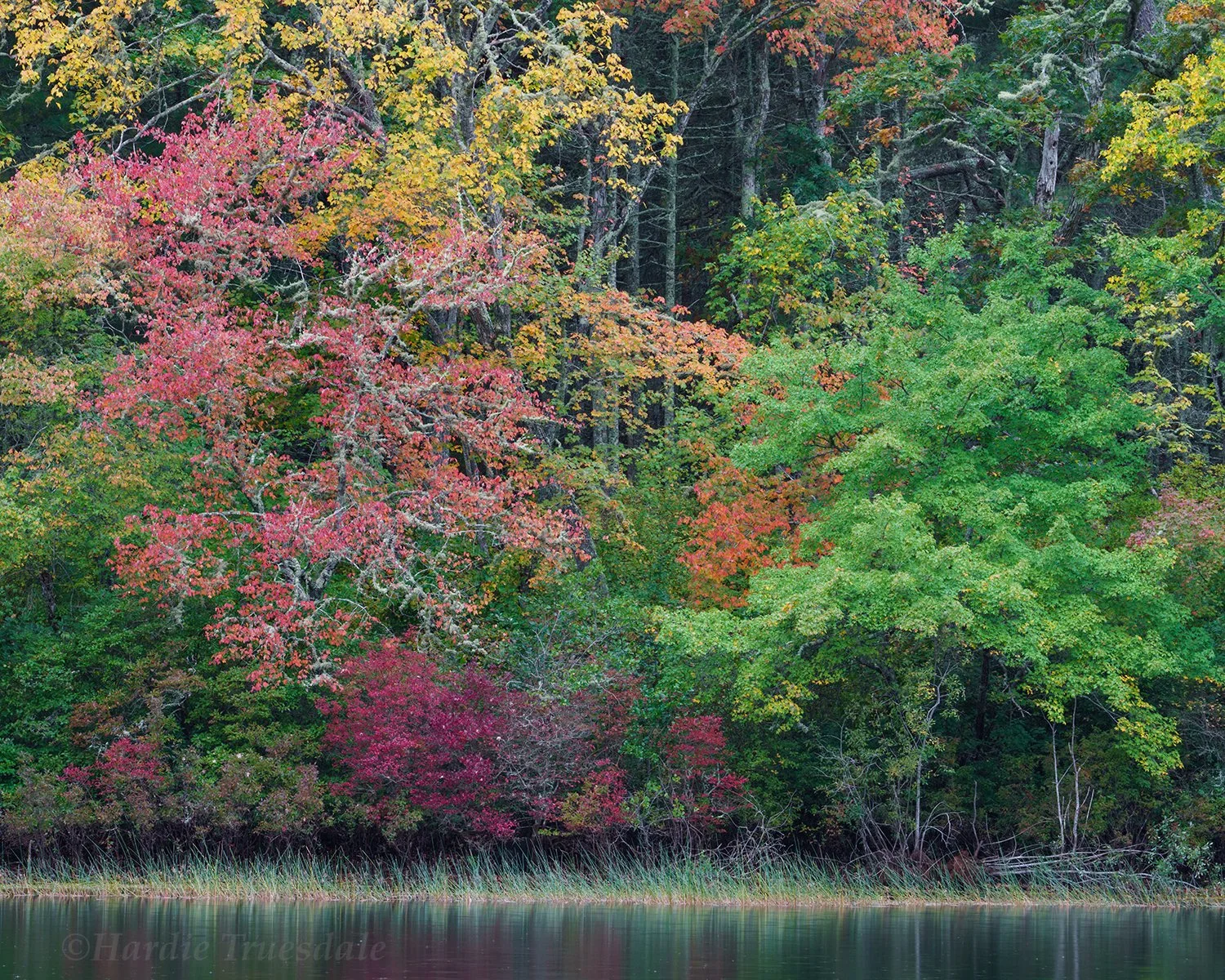 CC#381 Little Cliff Fall, Nickerson State Park