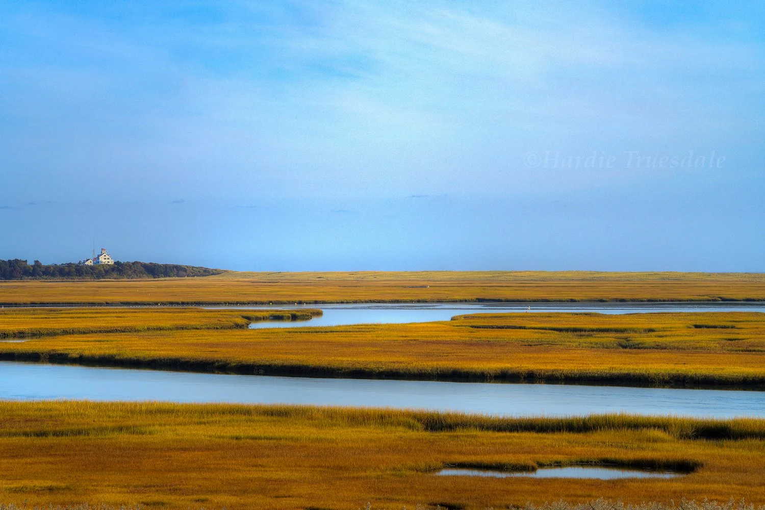CC#383 Nauset Marsh Fall, Cape Cod National seashore