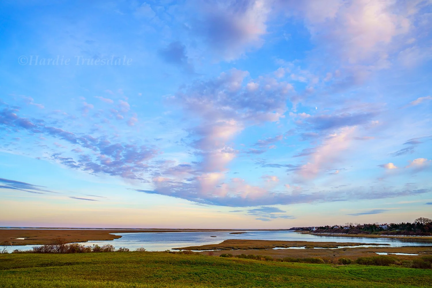 CC#433 Evening Moon, Fort Hill, Cape Cod National Seashore