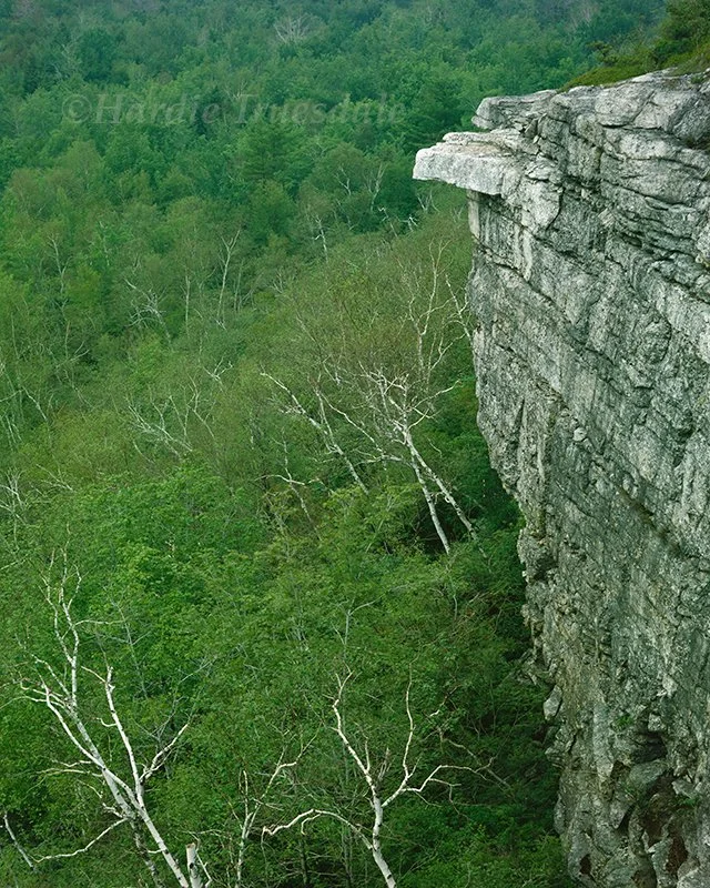 Gks 022 sq web.jpg