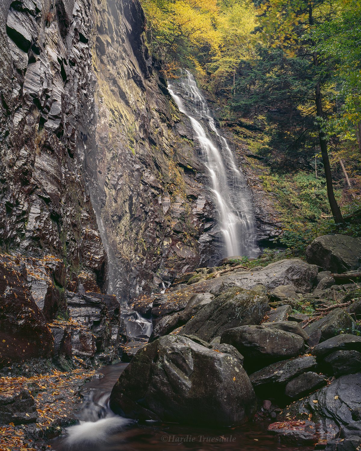 Cks 029 sq web.jpg