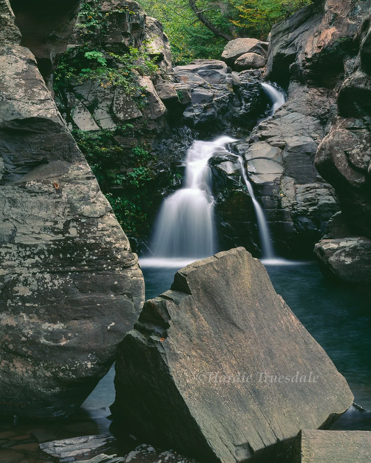 Cks 151 sq web.jpg