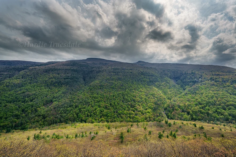 Cks#322 Early Spring, Katerskill Valley, Escarpment Trail, Catskill