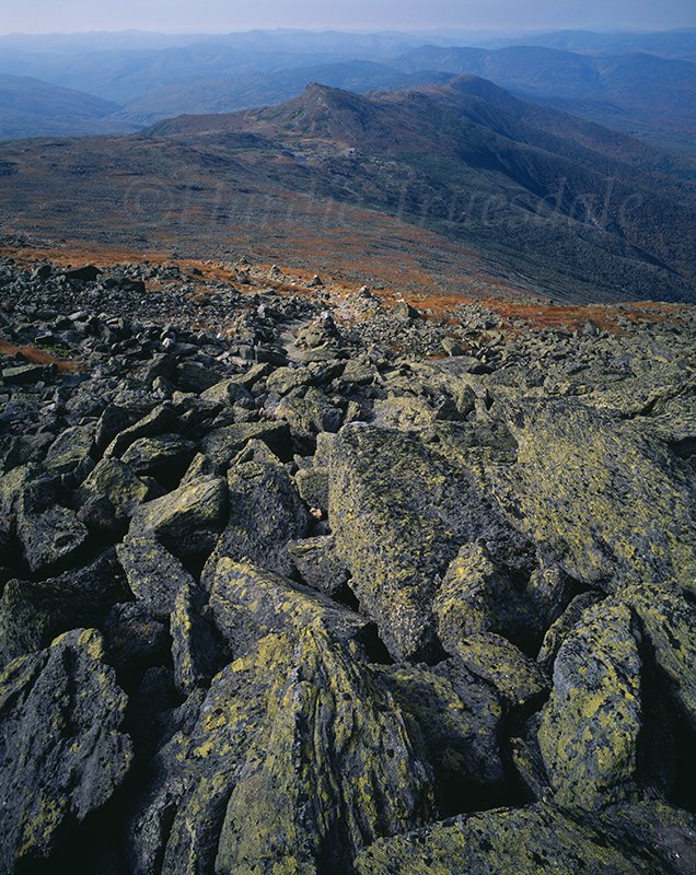 NH 052 sq web.jpg