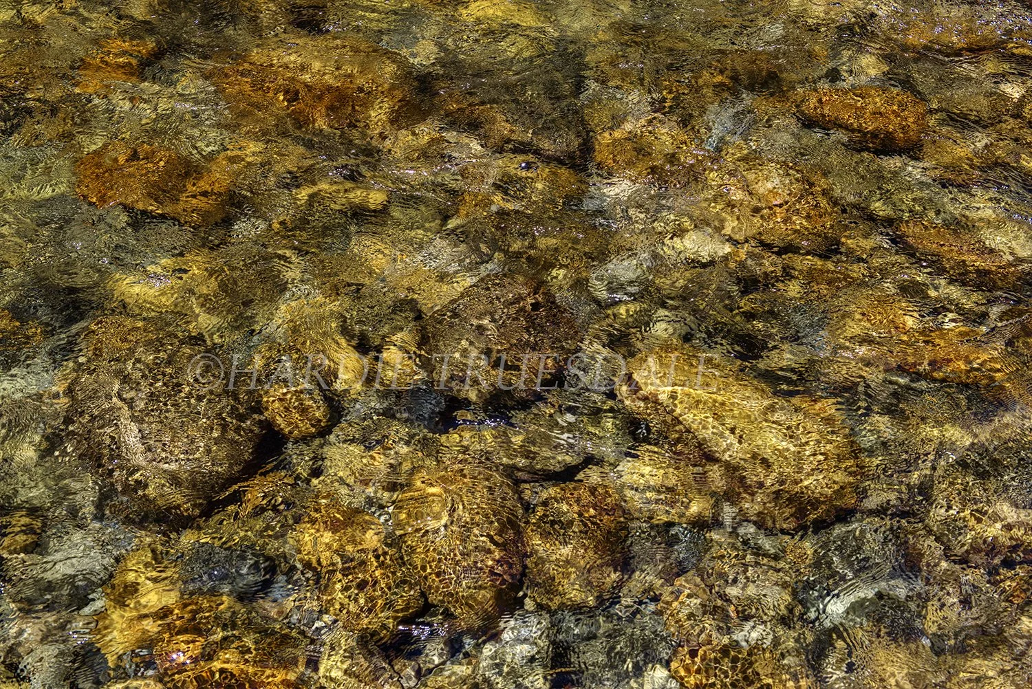 NH 098 sq web.jpg