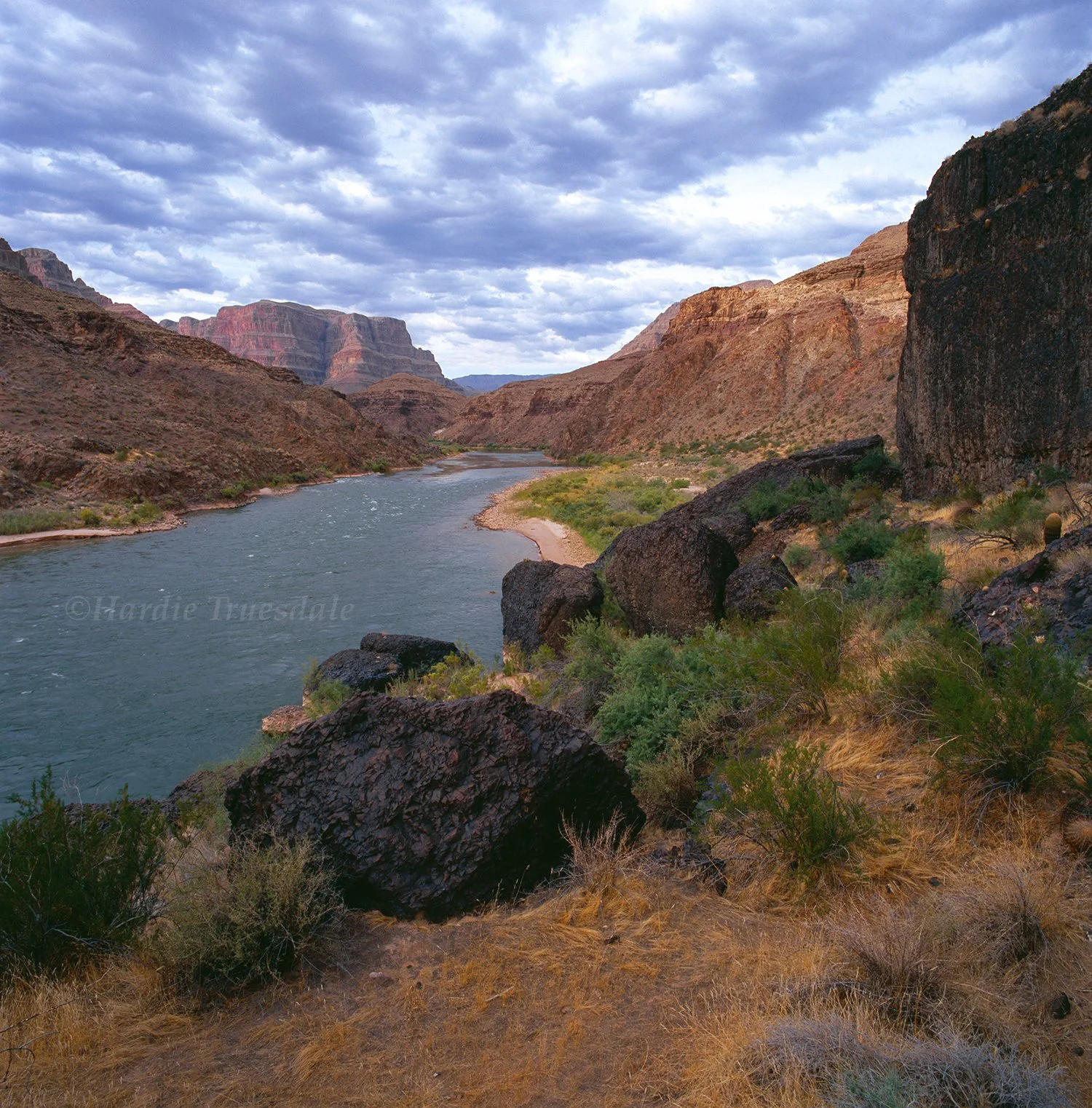 AZ 051a sq web.jpg