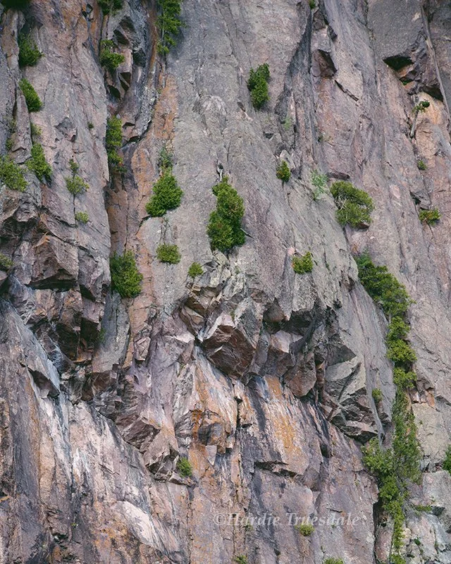 MN 036 sq web.jpg
