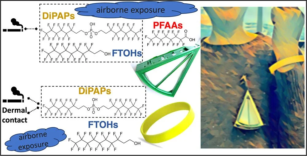 Shan Niu et al, 2024