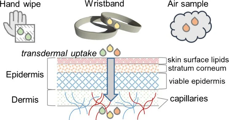 S Hammel et al, 2025