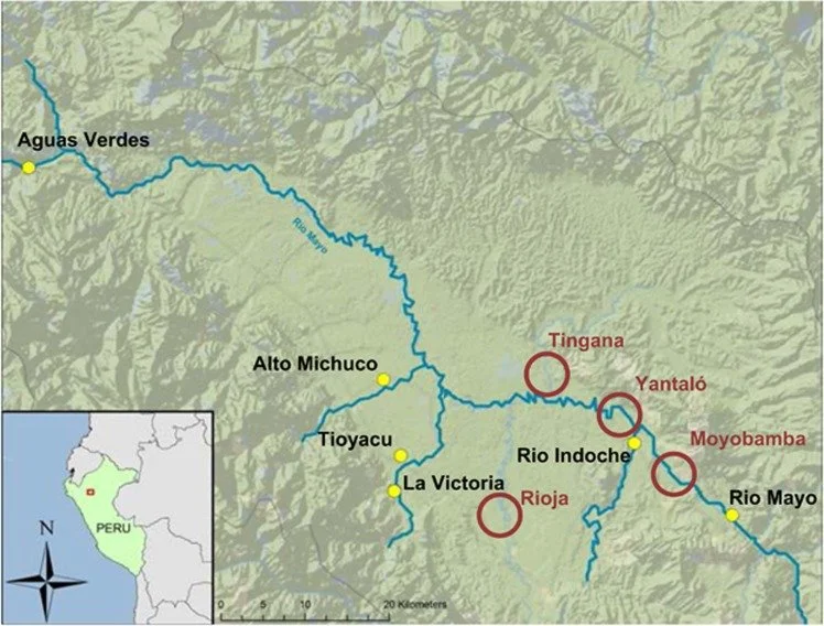 Multi-class chemical exposure in rural Peru using silicone wristbands