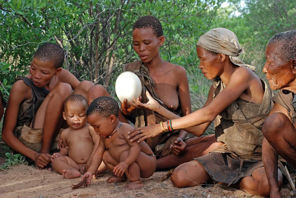 bushman-509245_960_720.jpg