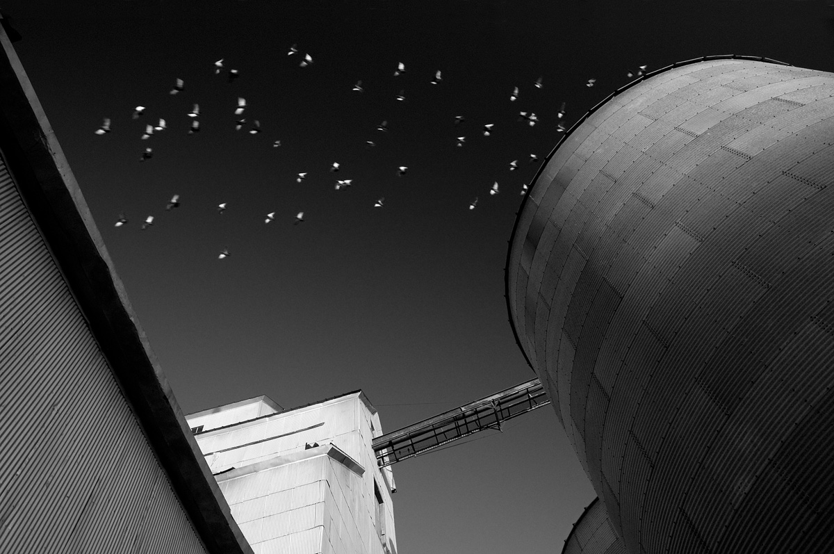 Grain Elevator.jpg