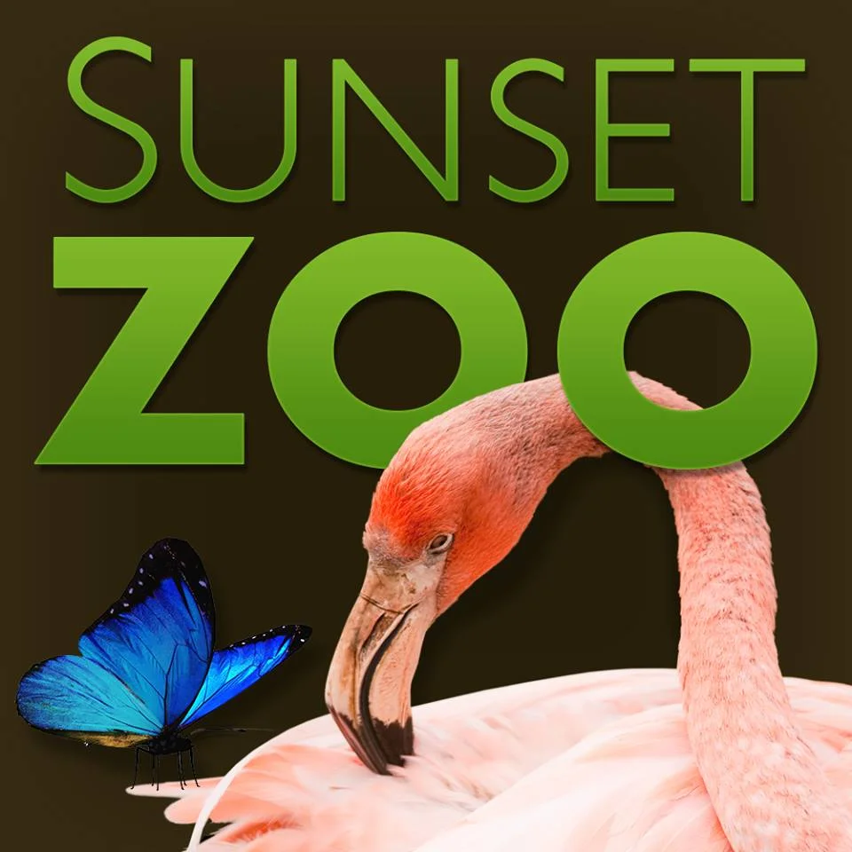 sunsetzoologo.jpg