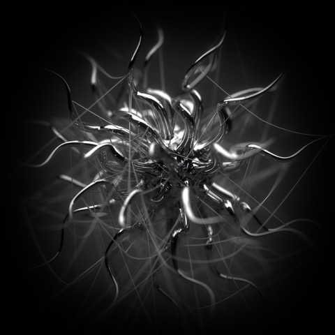 wireoctopus+photo black fade.jpeg