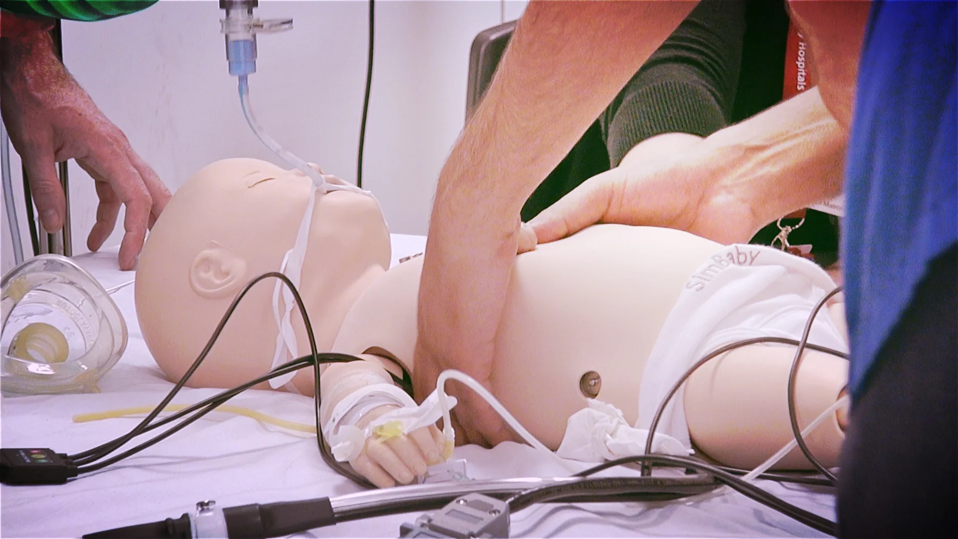 #SimBlog: PEST Sim Day (2015)