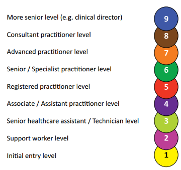 Skills for Health careers framework