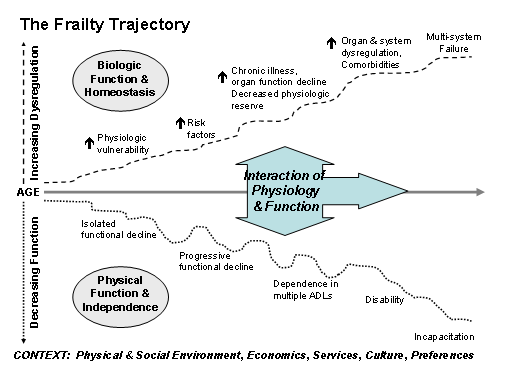 (Fig. 2) The Frailty Trajectory ³