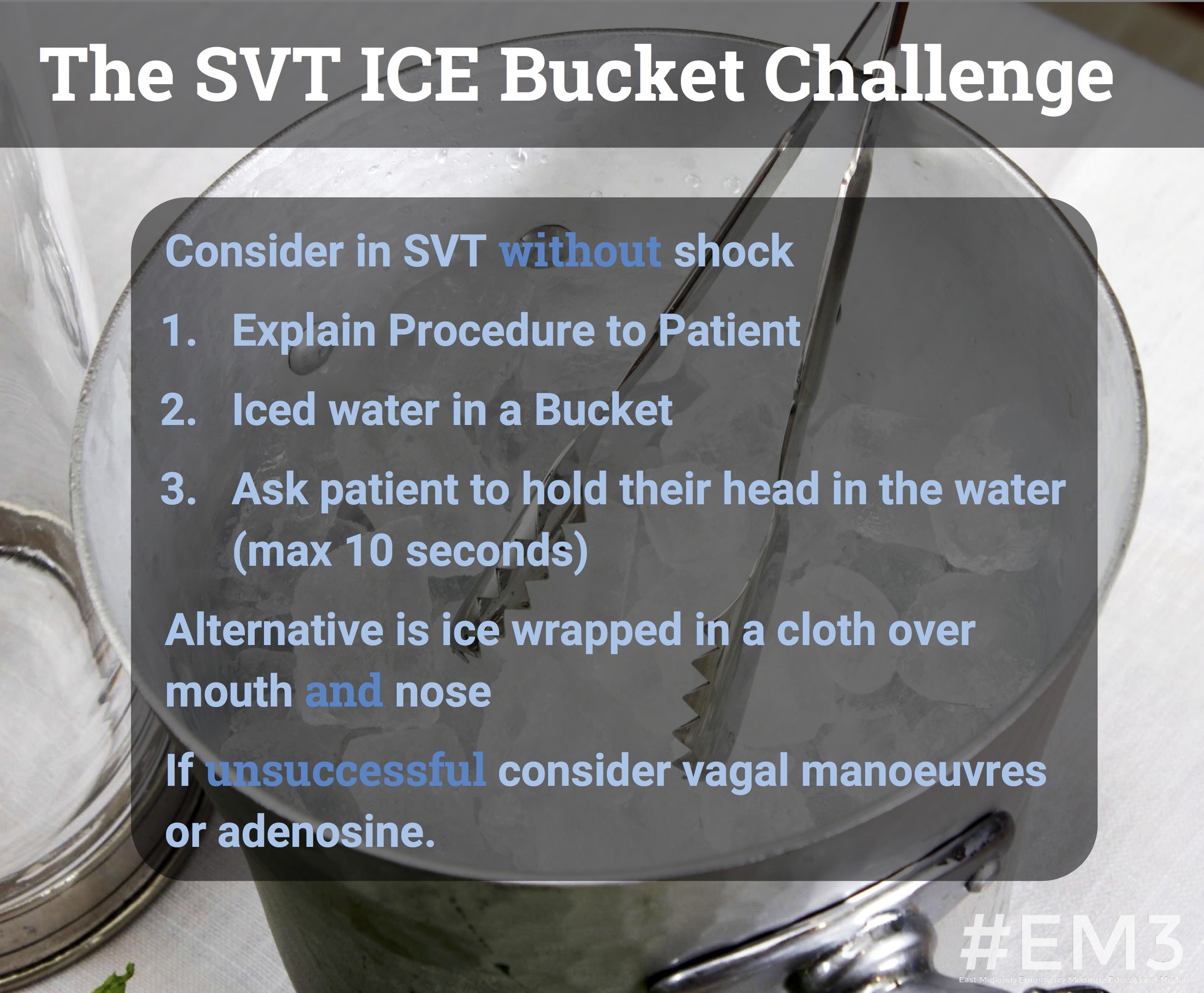 svt ice bucket.jpg