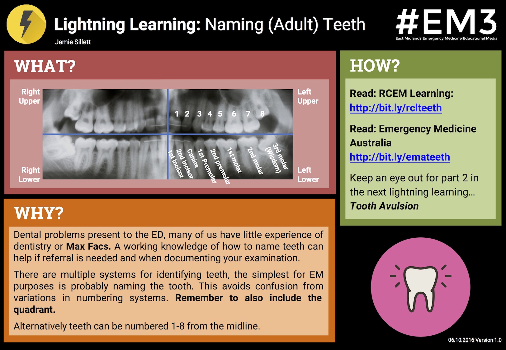 Lightning Learning- Naming Teeth.jpg