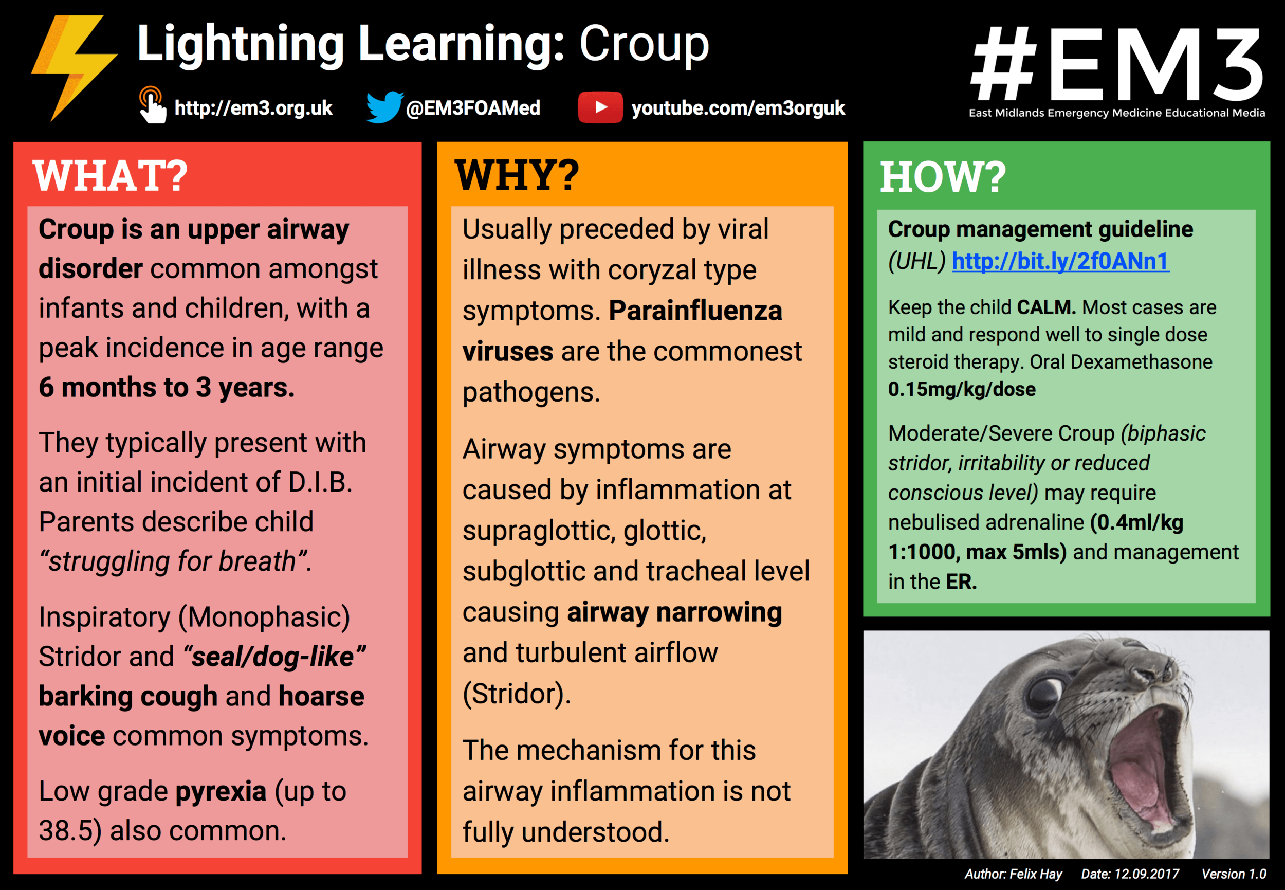 Lightning Learning - Croup.png