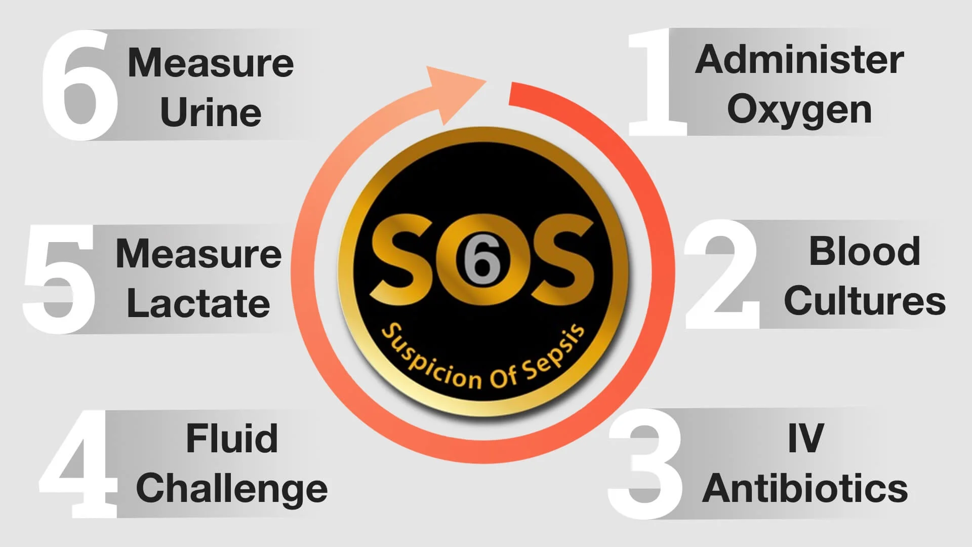 SOS Sepsis 6 infographic.jpg