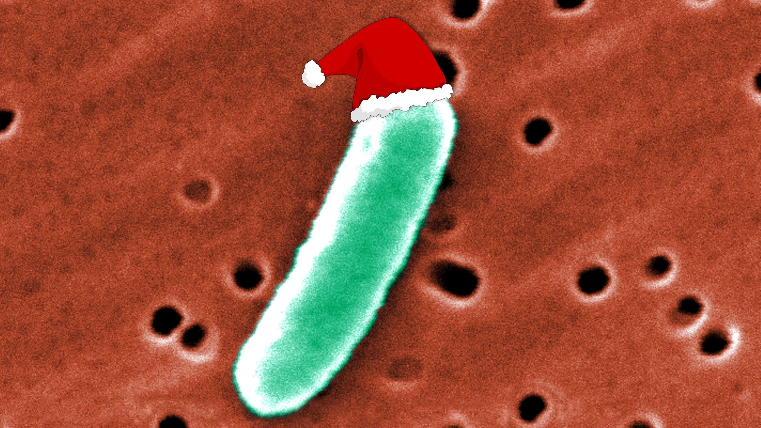 #SimBlog: Festive Fever