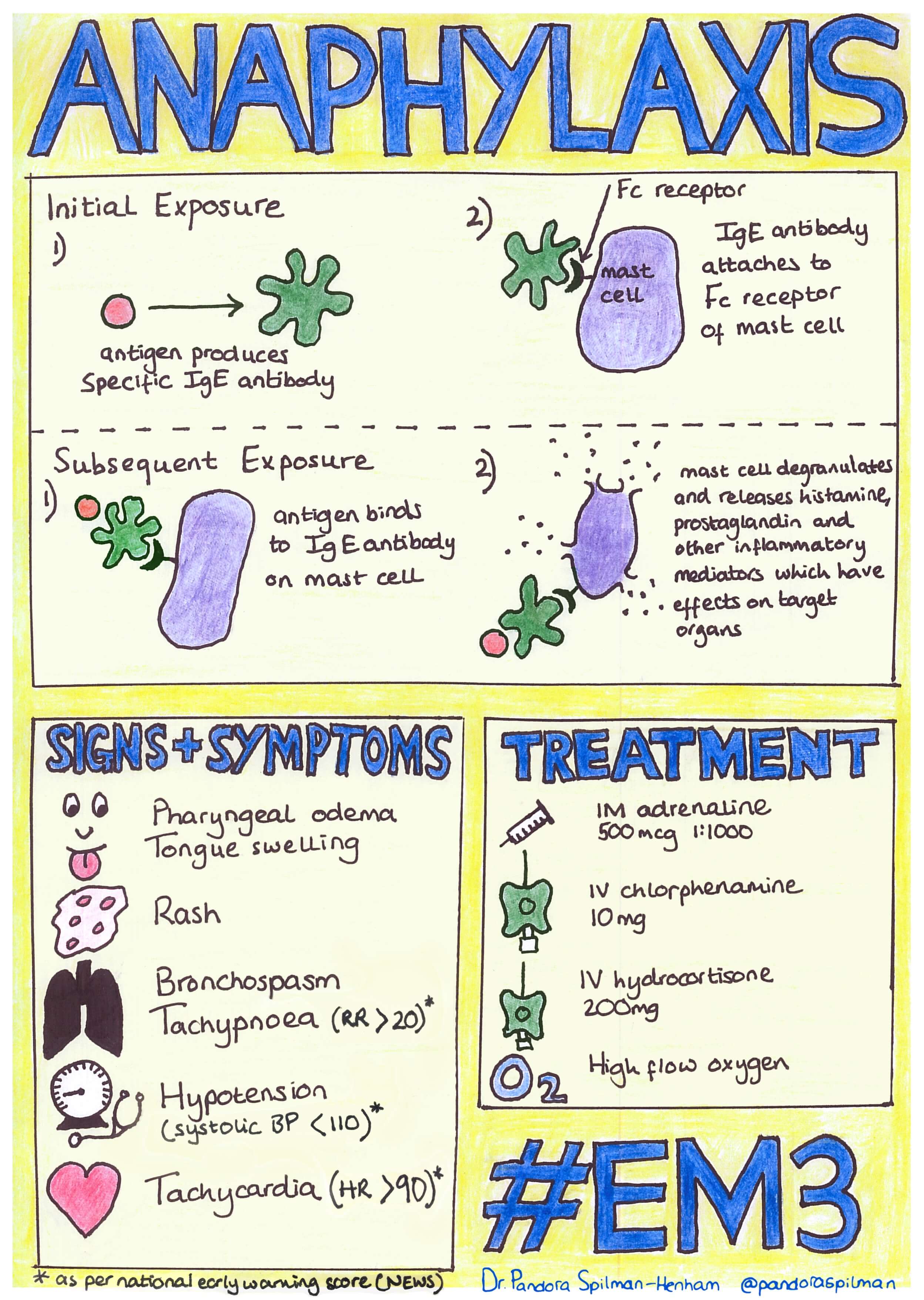 Anaphylaxis (infographic).jpg