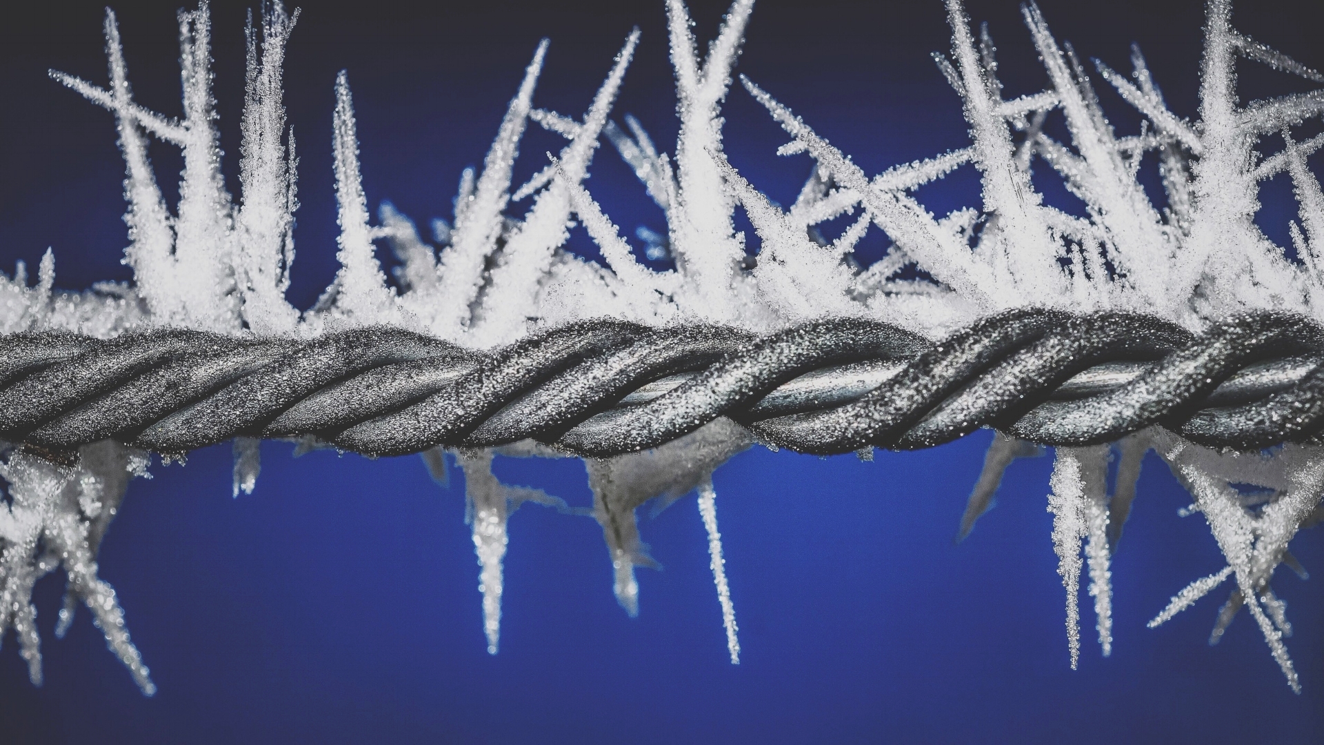 #SimBlog: Ethylene Glycol Poisoning