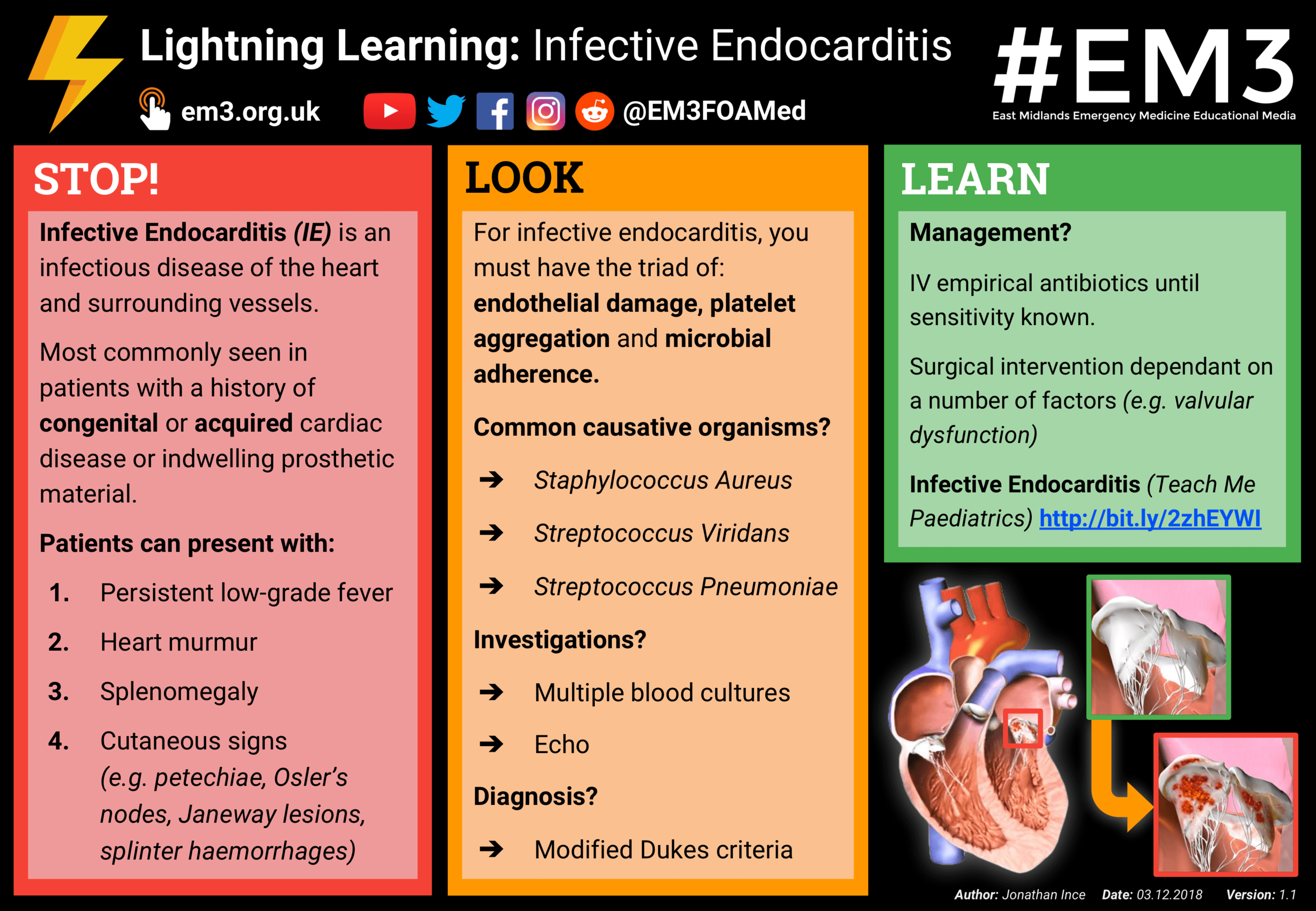 Lightning Learning - Infective Endocarditis (v1.1).png