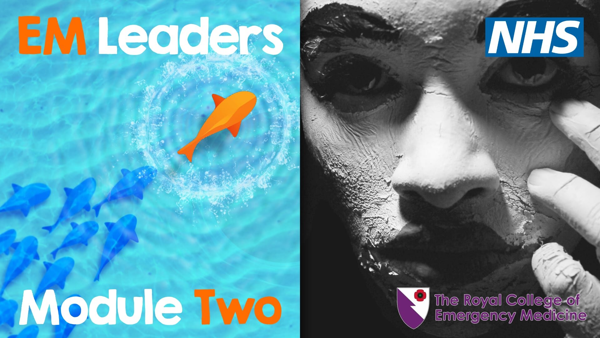 EM Leaders: Imposter Syndrome — EM3