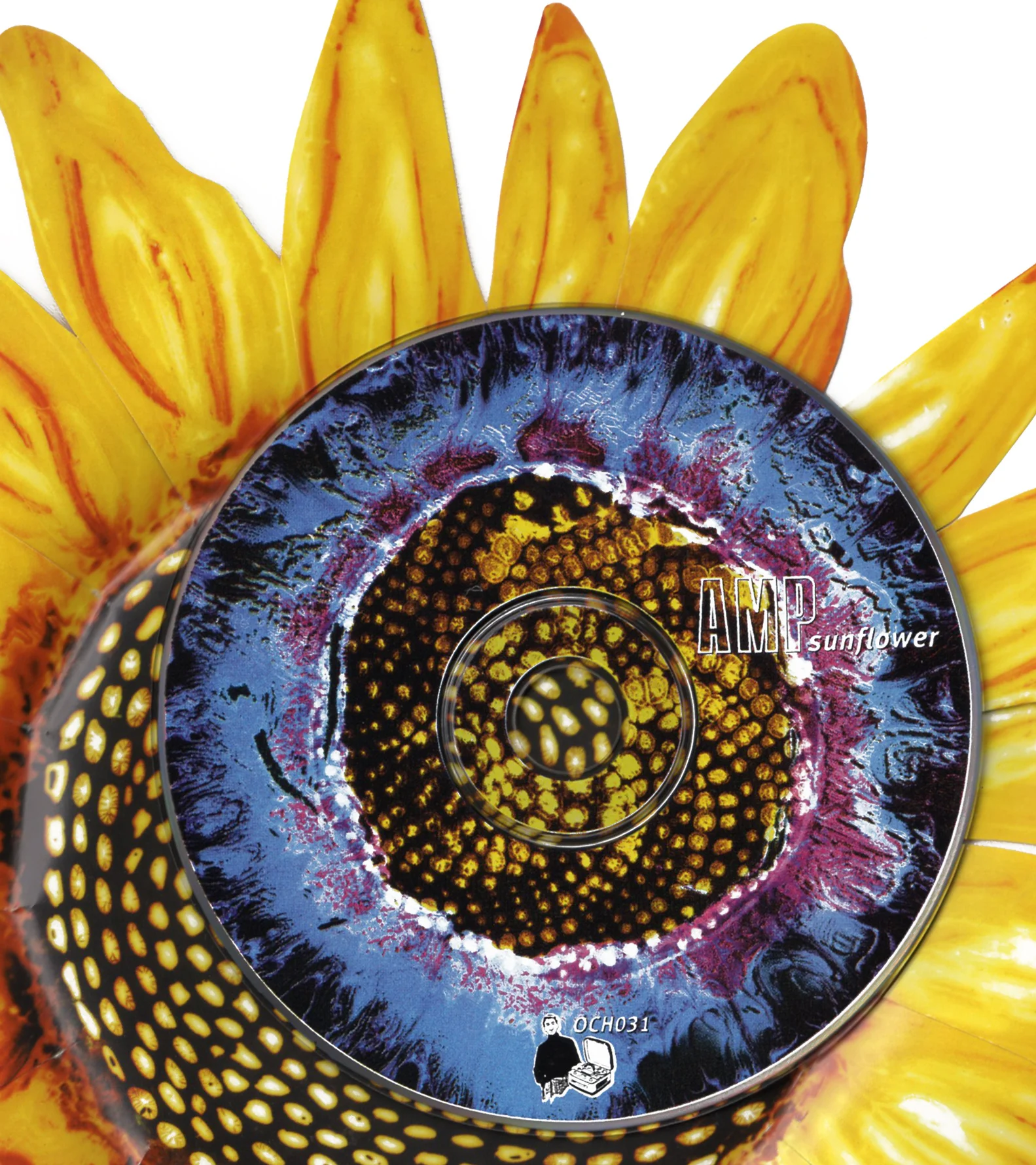 amp-sunflower22.jpg