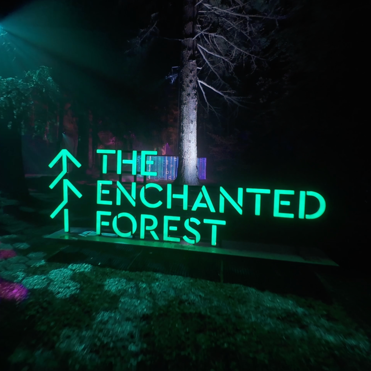 The Enchanted Forest
