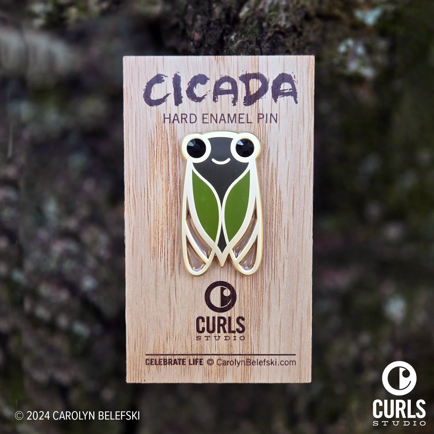 cicada_annual_belefski_1.jpg
