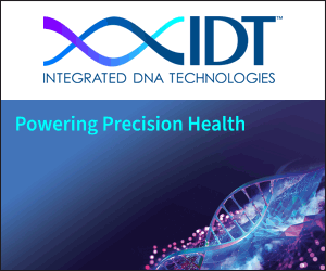 idt_300x250_r2.gif