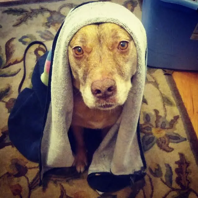 ruby_towel.jpg