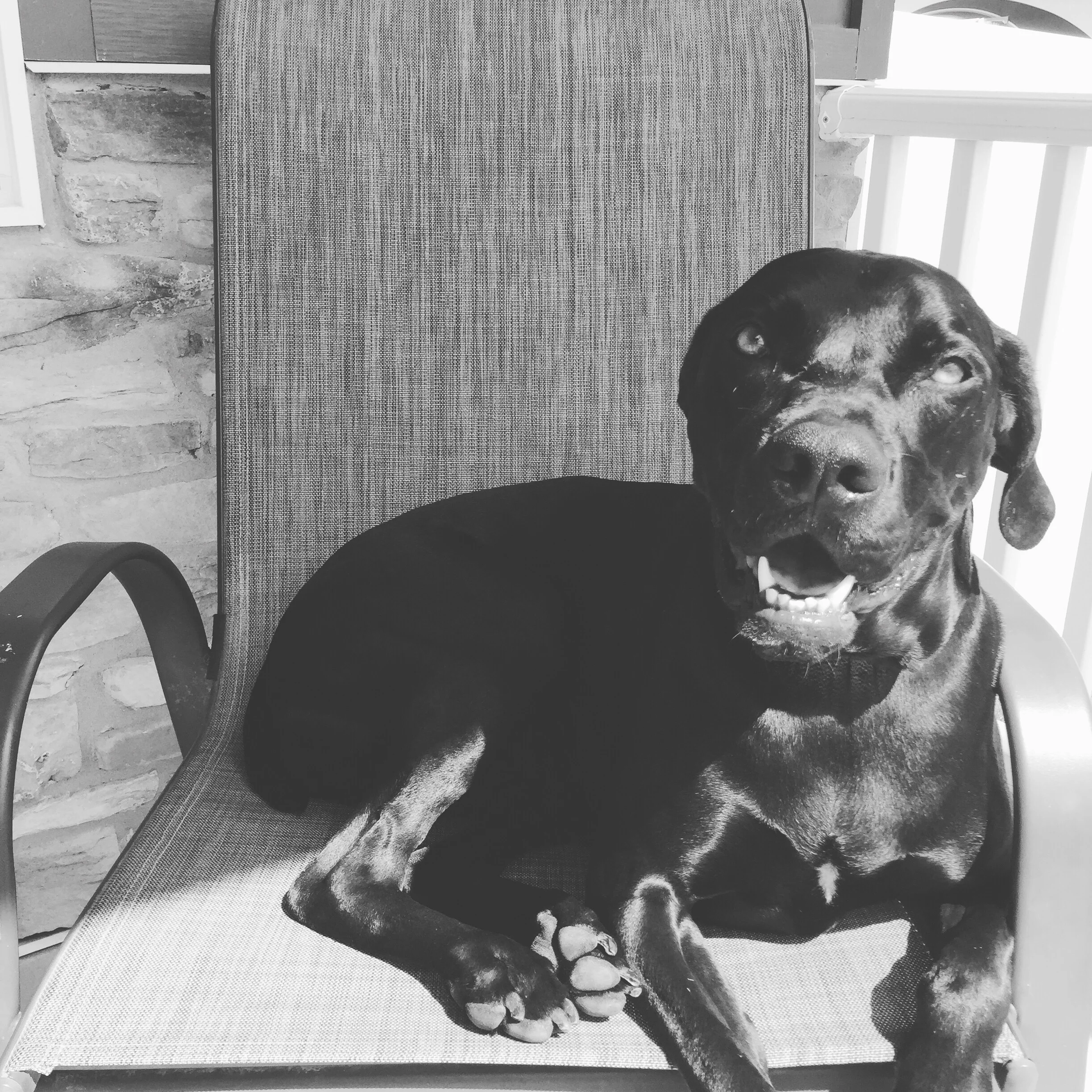 Gracie.