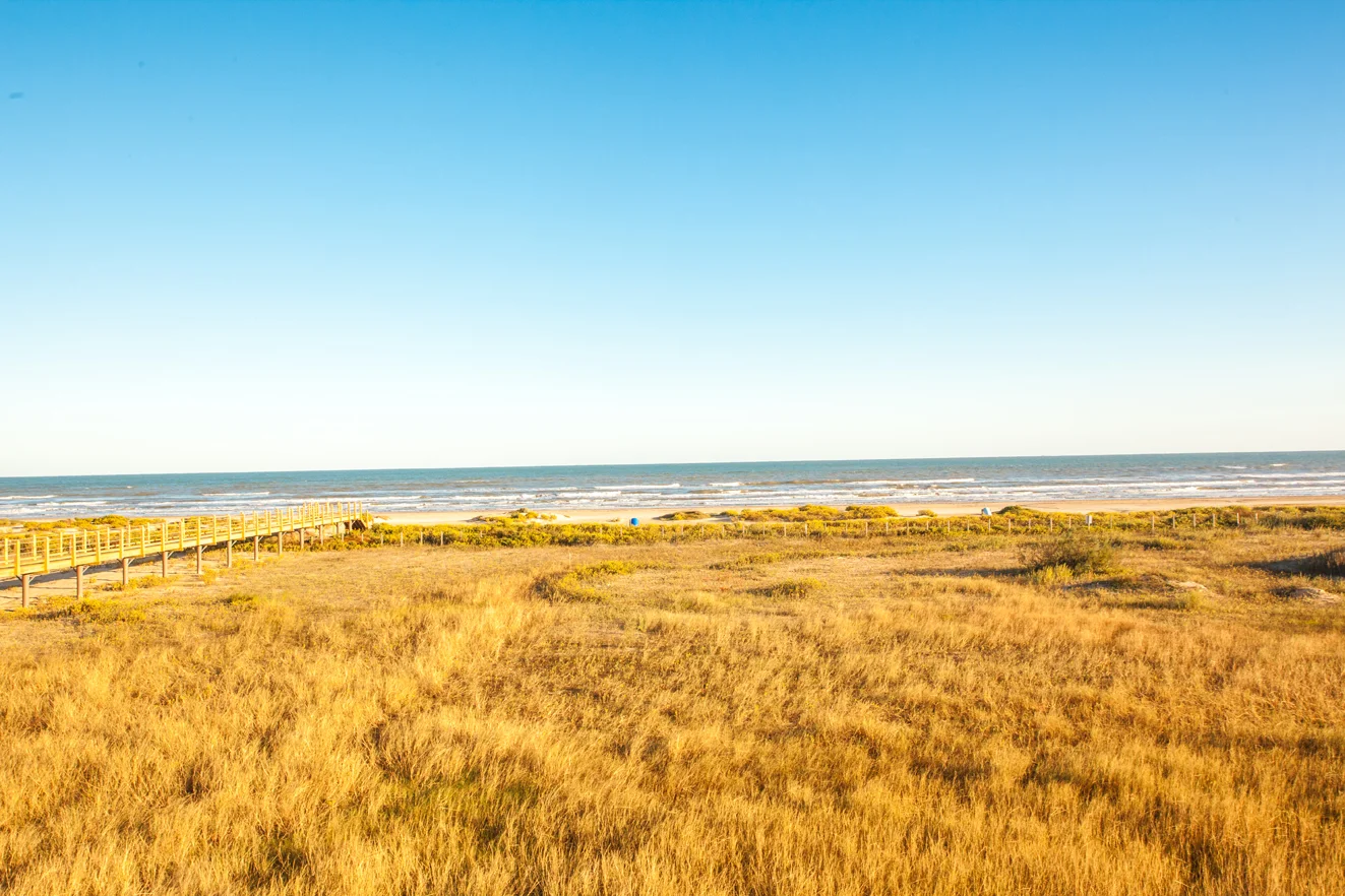 landscape2_web.jpg