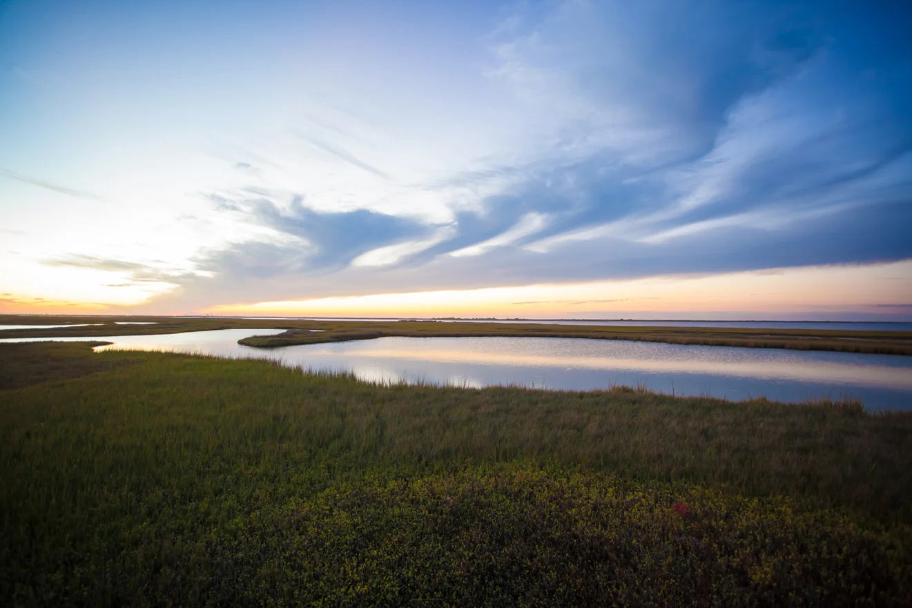 landscape1_web.jpg