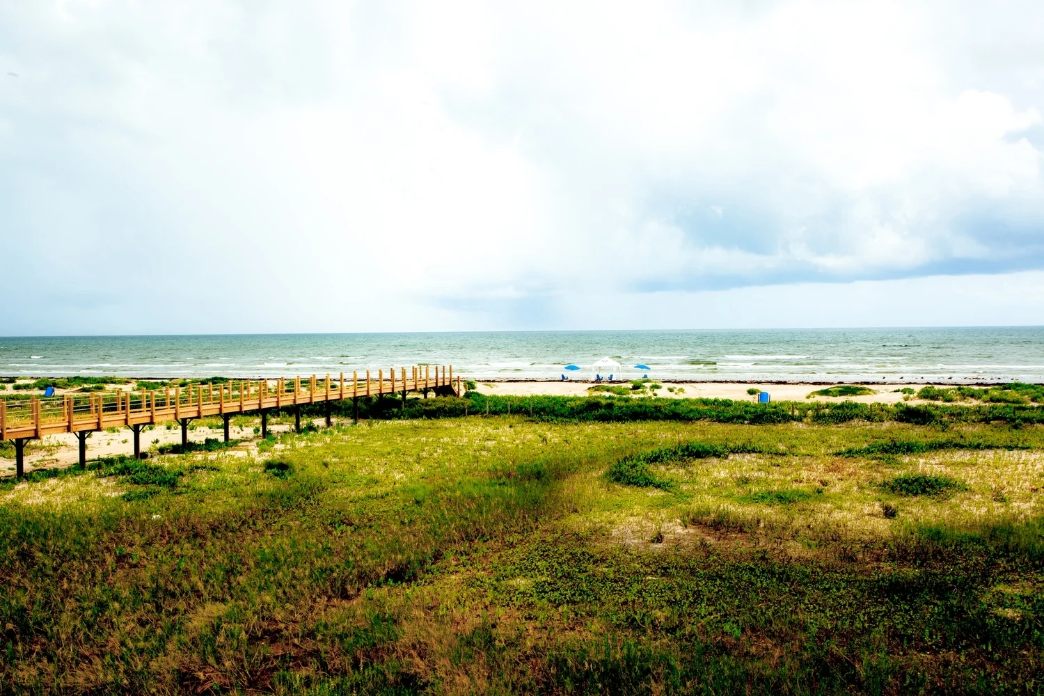 Make a discovery on the texas gulf coast.