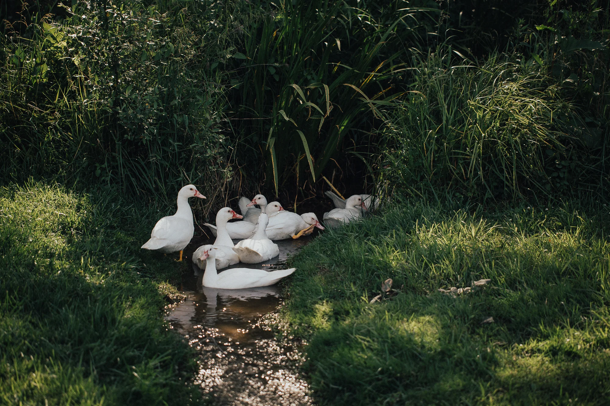 Katie+Brad(websize)-962.jpg