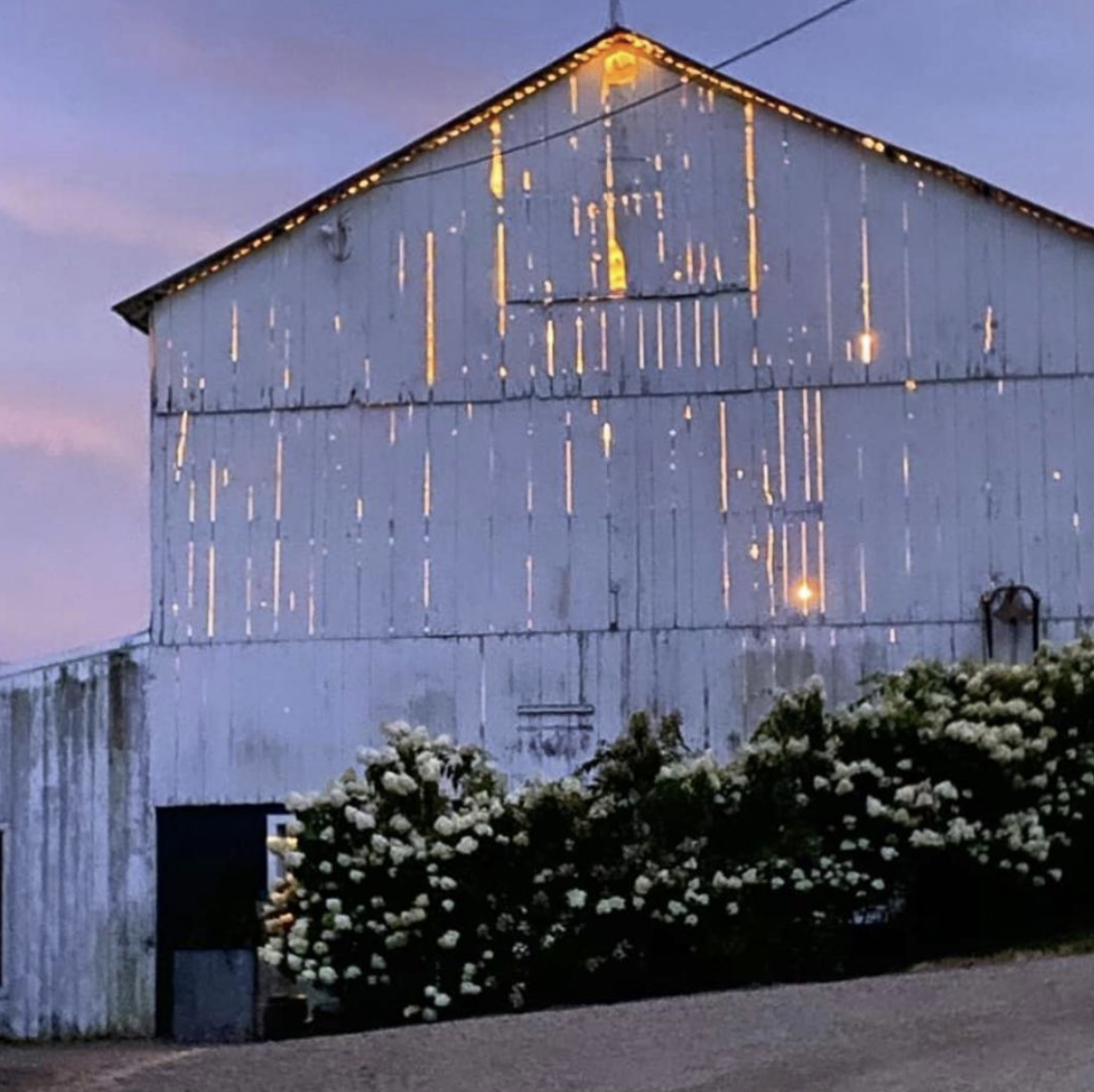 Screen Shot 2021-01-22 at 1.52.51 PM.png