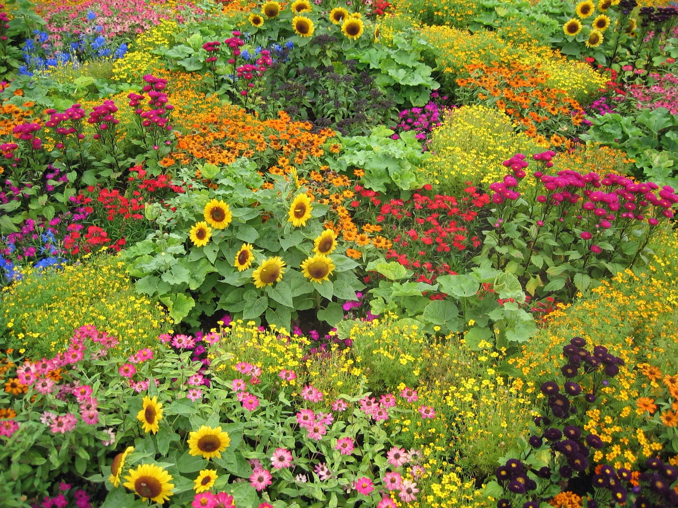 Fall color palette