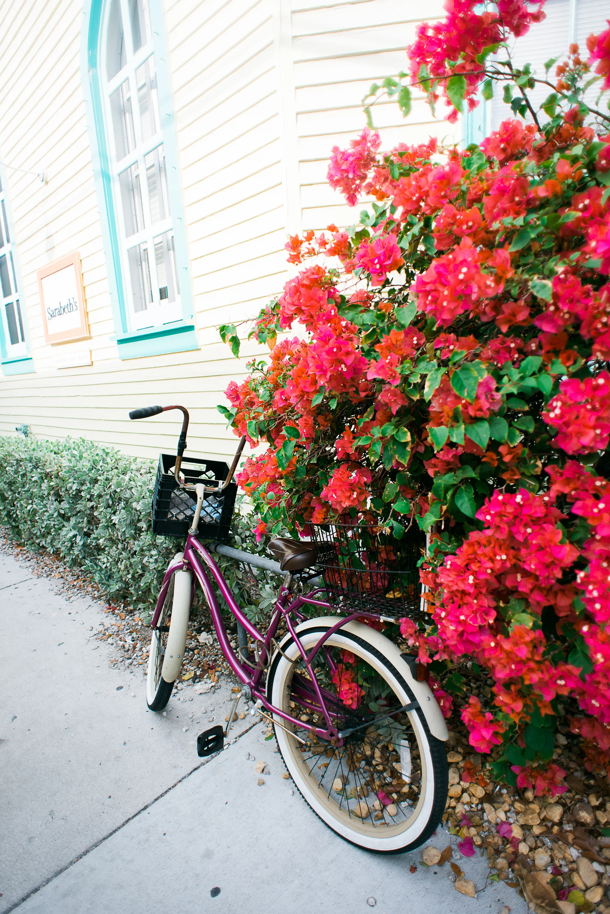 20121229-KeyWest234.jpg