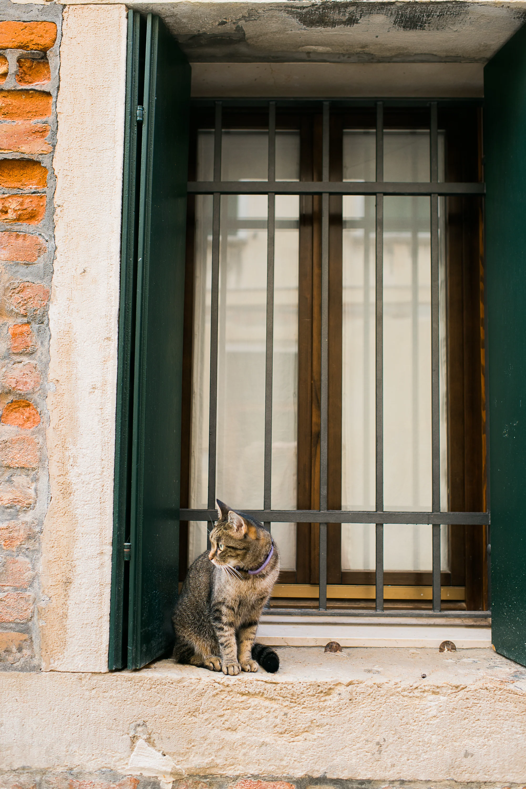 20140811-Venice23.jpg