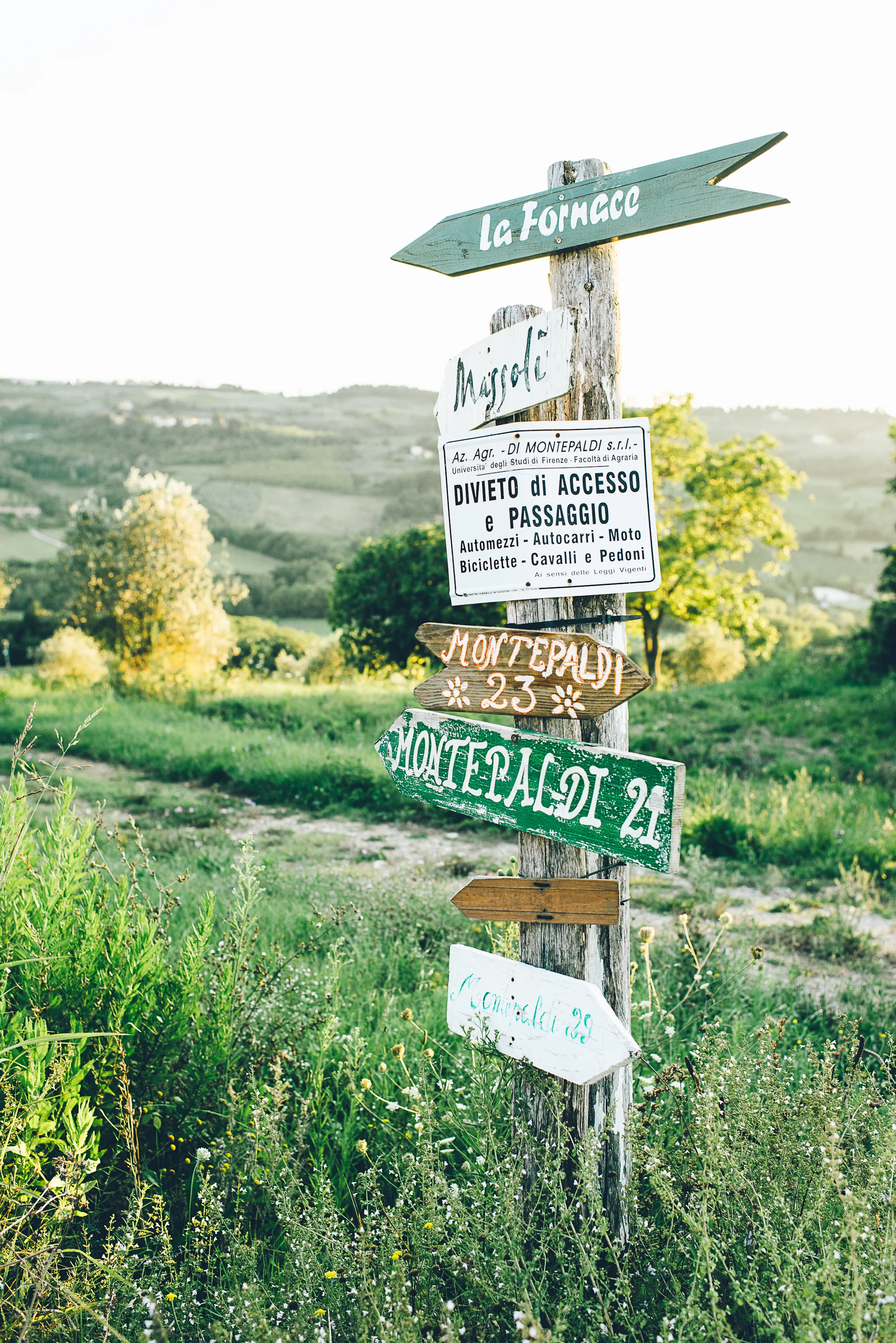 20140816-Tuscany248.jpg