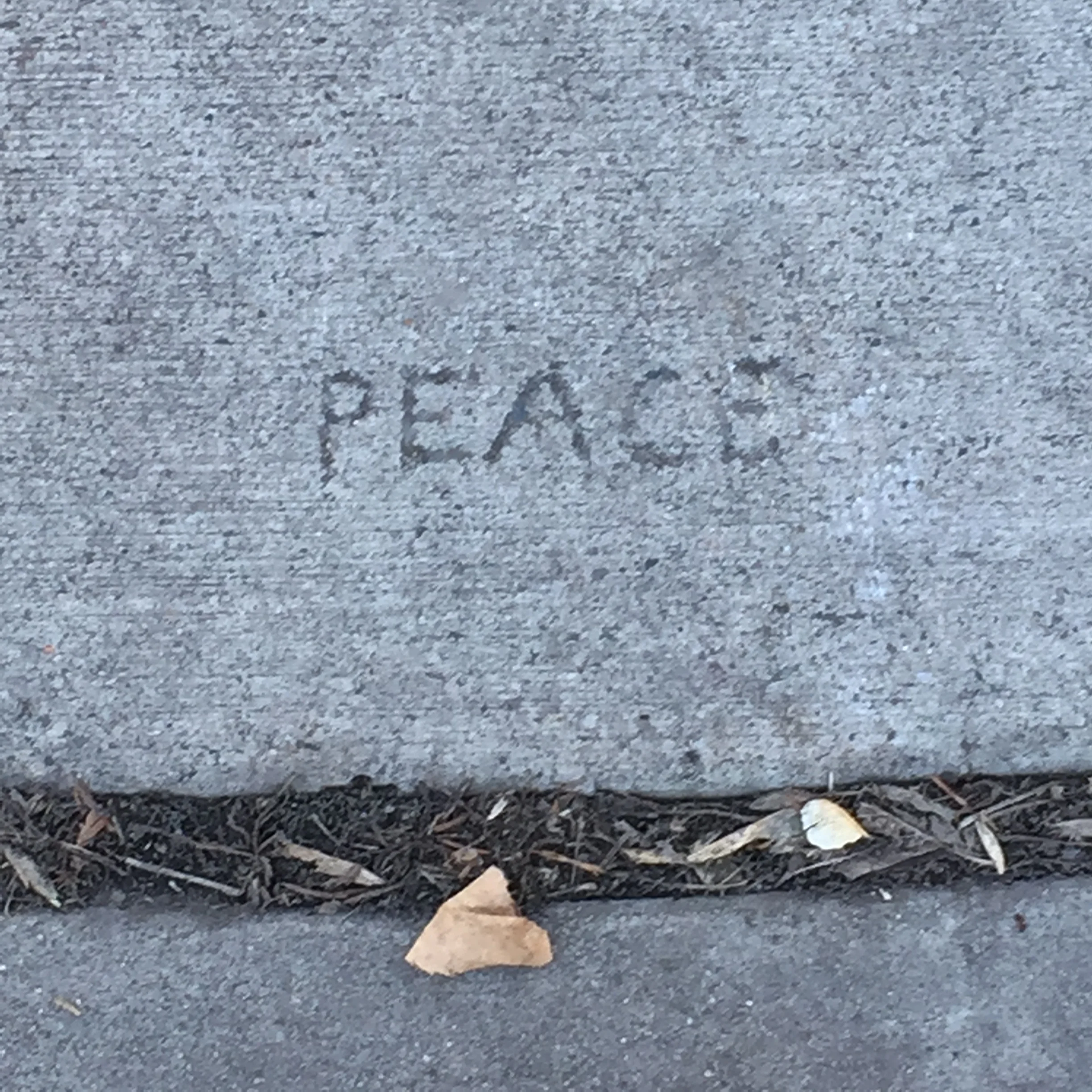 Peace1.jpg