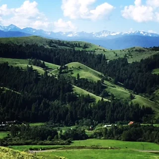 MT view.jpg